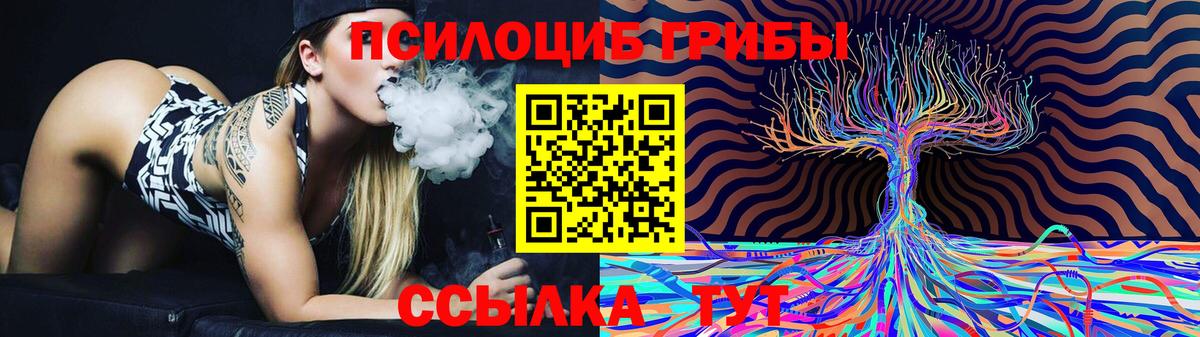 Псилоцибиновые грибы прущие грибы Сургут
